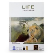 PRIMUS Kopierpapier ISO 80 LIFE trend white  